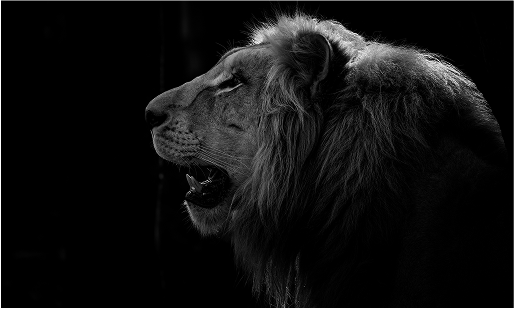 Sevown is KING: The Infrastructure (Technology)